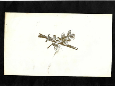 image-description