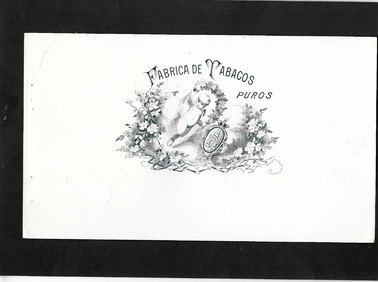 image-description