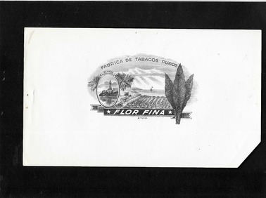 image-description