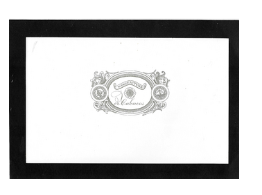 image-description